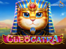 Cat casino83